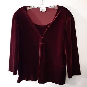 Vintage Ilyza New York Velour Top Size Large
